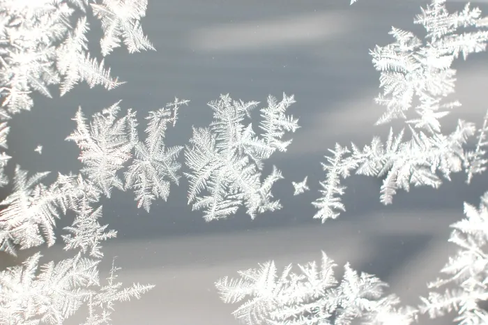 Framed Print : Ice Crystal Print Framed Print : Ice Crystal Print
