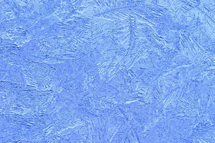 Framed Print : Ice Flowers Print - Delicate Winter Blooms Framed Print : Ice Flowers Print - Delicate Winter Blooms