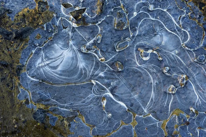 Framed Print : Ice structures in a puddle, Hesse, Germany print Framed Print : Ice structures in a puddle, Hesse, Germany print