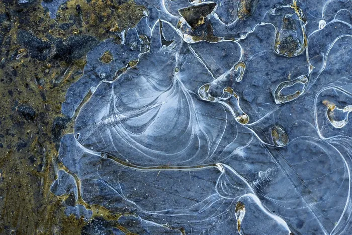 Framed Print : Ice Structures in a Puddle Print, Hesse, Germany Framed Print : Ice Structures in a Puddle Print, Hesse, Germany