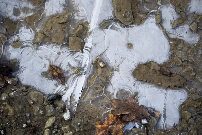 Framed Print : Ice Structures in a Puddle Print, Hesse, Germany Framed Print : Ice Structures in a Puddle Print, Hesse, Germany