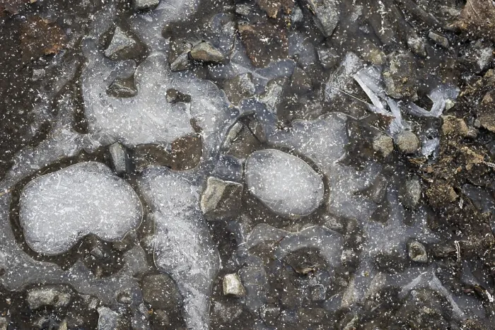 Framed Print : Ice Structures in a Puddle Print, Hesse, Germany