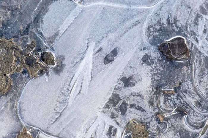 Framed Print : Ice Structures in a Puddle Print, Rhineland-Palatinate, Germany Framed Print : Ice Structures in a Puddle Print, Rhineland-Palatinate, Germany