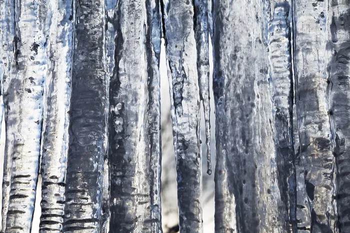Framed Print : Frozen Icicles Print Framed Print : Frozen Icicles Print