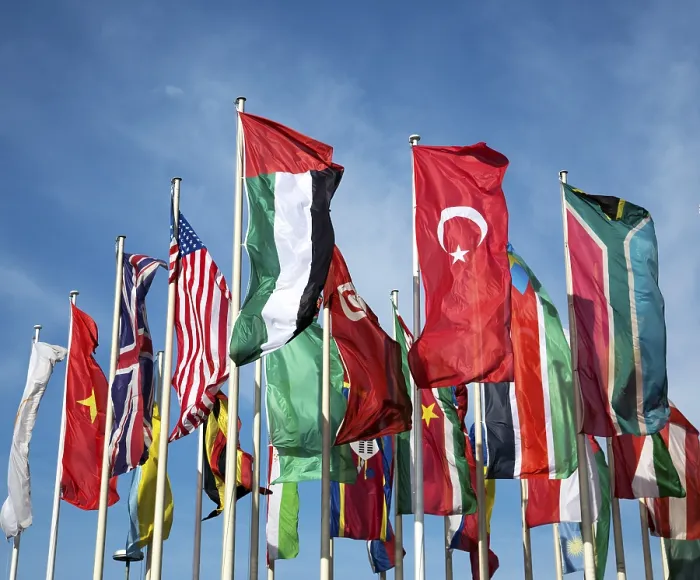 Framed Print : International Flags Print Collection Framed Print : International Flags Print Collection