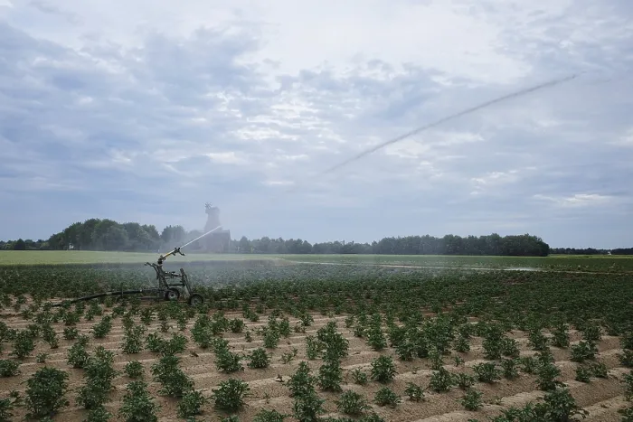 Framed Print : Irrigation of Fields in Drought, Summer Print