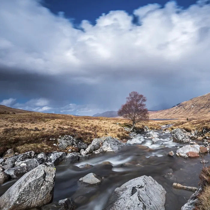 Framed Print : Isolated Tree Print - River Ossian, Corrour, Highlands Framed Print : Isolated Tree Print - River Ossian, Corrour, Highlands