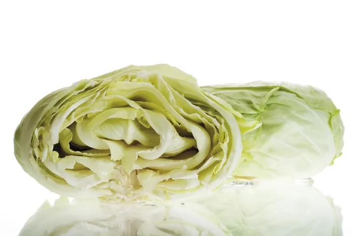 Framed Print : Jaroma Cabbage Print Framed Print : Jaroma Cabbage Print