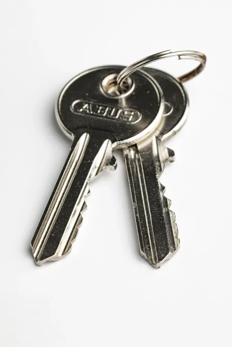 Framed Print : Key Ring Print with Two Keys on White Background