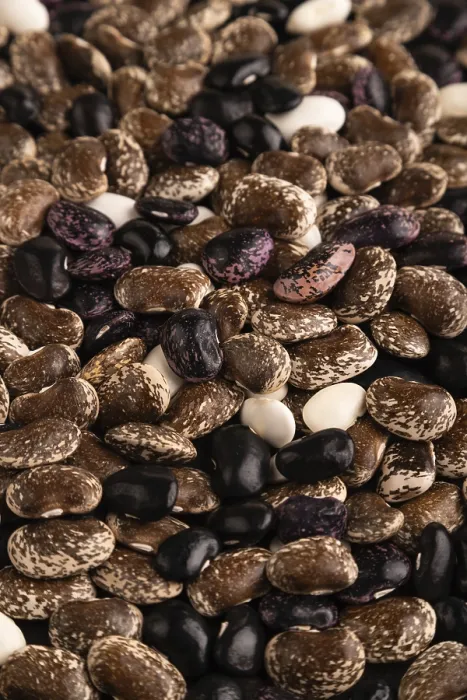 Framed Print : Kidney Beans Texture Close-Up Print Framed Print : Kidney Beans Texture Close-Up Print