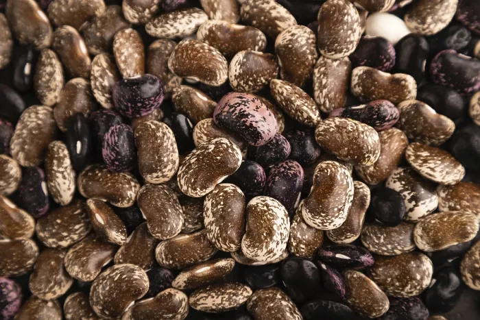 Framed Print : Kidney Beans Texture Close-Up Print