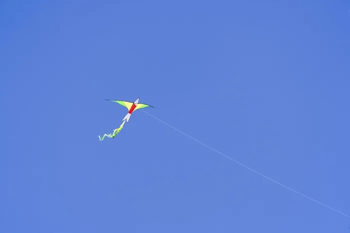 Framed Print : A Kite Print by ImageBROKER Framed Print : A Kite Print by ImageBROKER