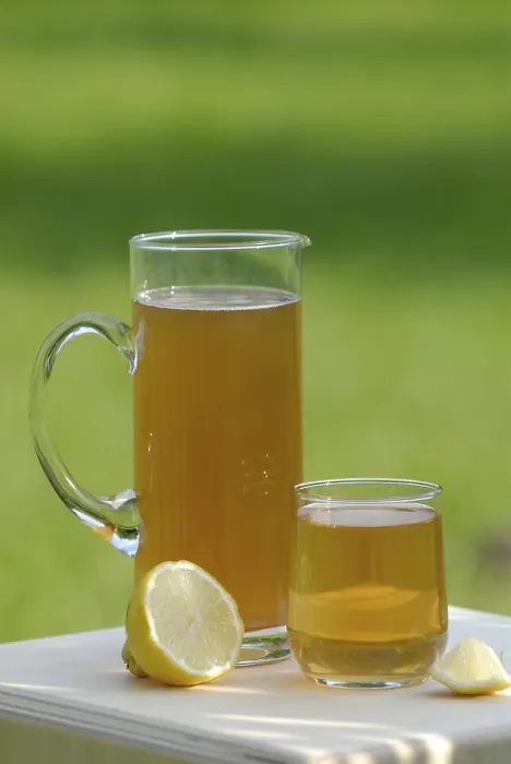 Framed Print : Kombucha Print - Fermented Tea Drink Framed Print : Kombucha Print - Fermented Tea Drink