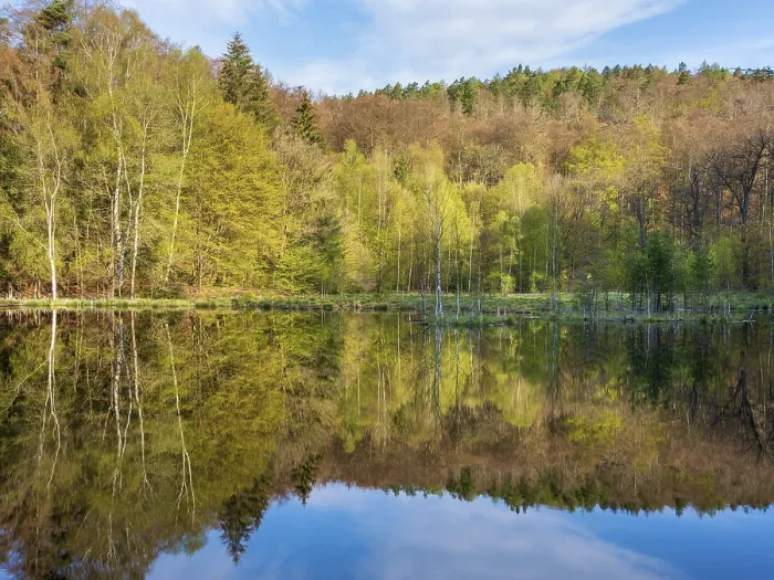 Framed Print : Lake in Spring, Albertsee Print, Thuringia Germany Framed Print : Lake in Spring, Albertsee Print, Thuringia Germany