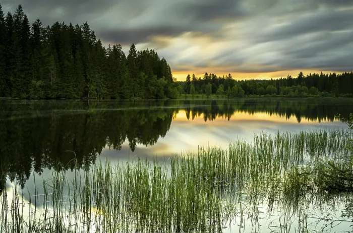 Framed Print : The Lake Windgfallweiher at Sunset Print Framed Print : The Lake Windgfallweiher at Sunset Print