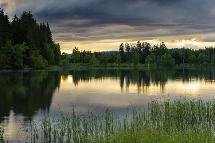 Framed Print : The Lake Windgfallweiher at Sunset Print, Germany Framed Print : The Lake Windgfallweiher at Sunset Print, Germany