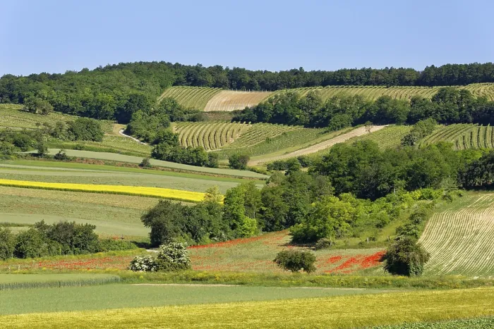 Framed Print : Weinviertel Landscape Print, Lower Austria Framed Print : Weinviertel Landscape Print, Lower Austria