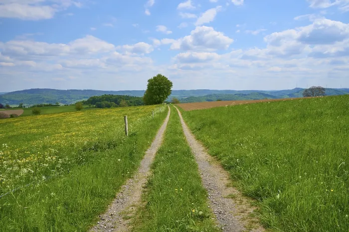 Framed Print : Landscape Print: Lindenfels Meadow Path Framed Print : Landscape Print: Lindenfels Meadow Path