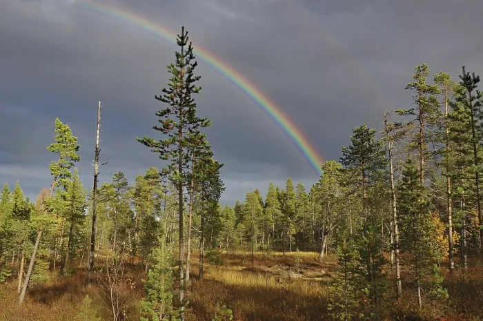 Framed Print : Lapland Autumn Landscape Print with Rainbow Framed Print : Lapland Autumn Landscape Print with Rainbow