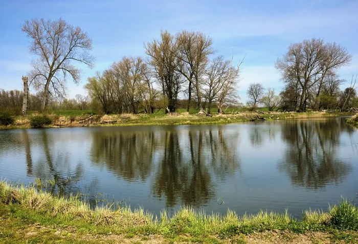 Framed Print : Landscape Print on the River Oder in Spring Framed Print : Landscape Print on the River Oder in Spring