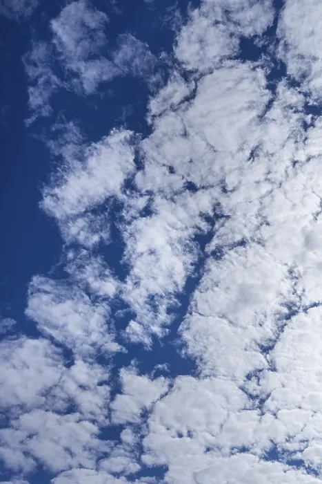Framed Print : Large Altocumulus Clouds Print, Germany Framed Print : Large Altocumulus Clouds Print, Germany