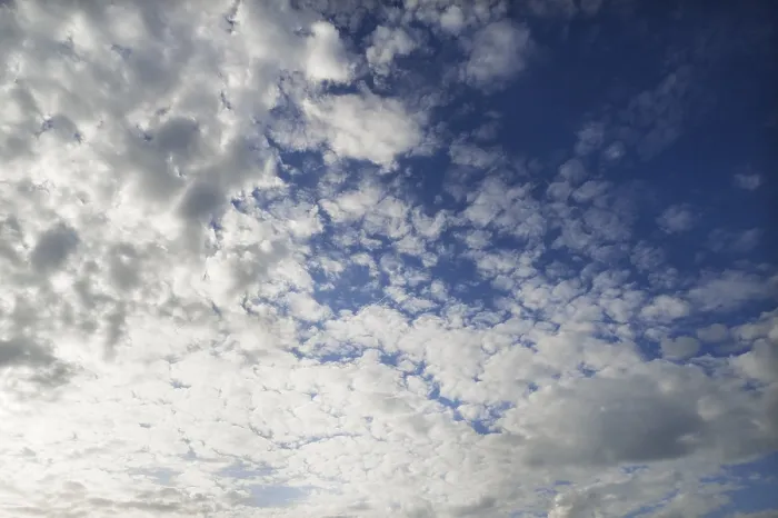 Framed Print : Large Fleecy Clouds Altocumulus Print, Germany Framed Print : Large Fleecy Clouds Altocumulus Print, Germany