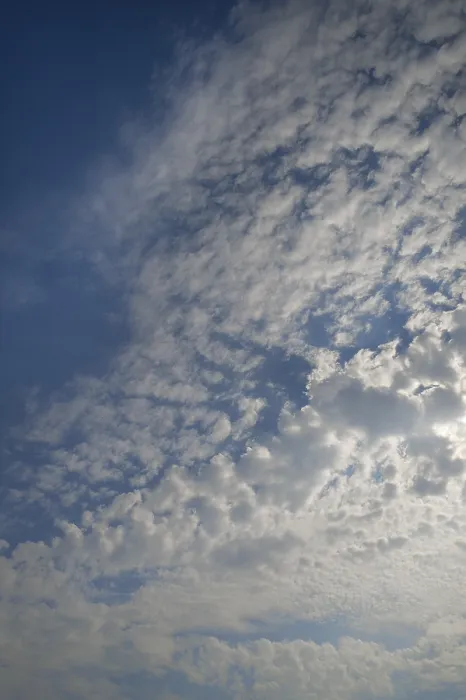 Framed Print : Large Fluffy Altocumulus Clouds Print, Germany Framed Print : Large Fluffy Altocumulus Clouds Print, Germany
