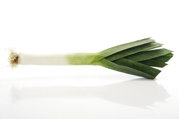 Framed Print : Leek Print from imageBROKER Framed Print : Leek Print from imageBROKER