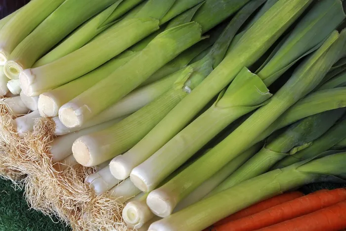 Framed Print : Leek Print in a Dutch Still Life Framed Print : Leek Print in a Dutch Still Life