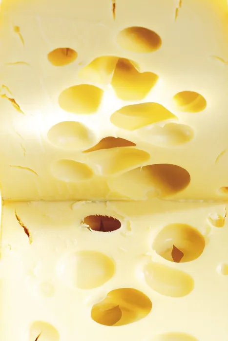 Framed Print : Leerdamer Cheese Print Framed Print : Leerdamer Cheese Print