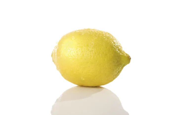 Framed Print : Lemon Lemon Print by ImageBROKER Framed Print : Lemon Lemon Print by ImageBROKER