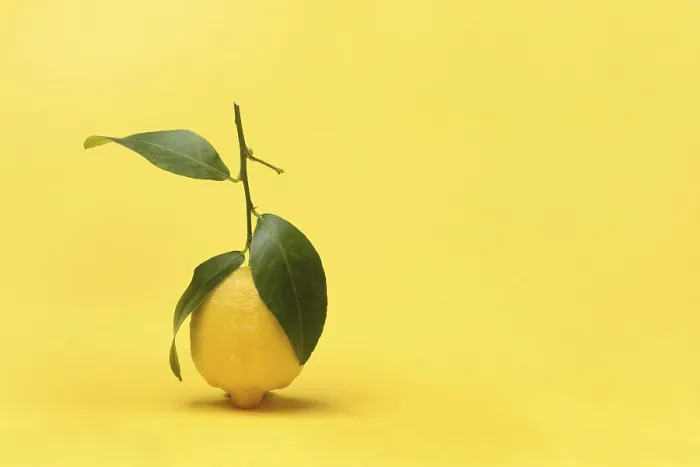 Framed Print : Lemon with Leaf Print against Yellow Background Framed Print : Lemon with Leaf Print against Yellow Background
