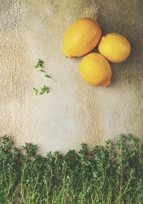 Framed Print : Lemon Thyme Print - Top View Framed Print : Lemon Thyme Print - Top View