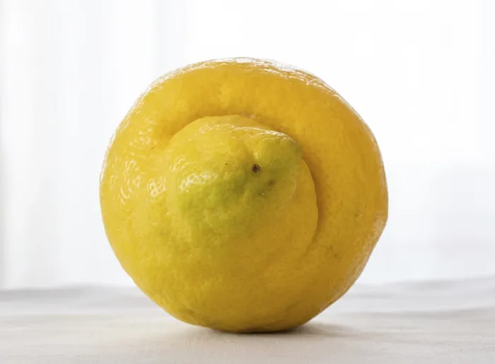 Framed Print : Lemon Print on White Background Framed Print : Lemon Print on White Background