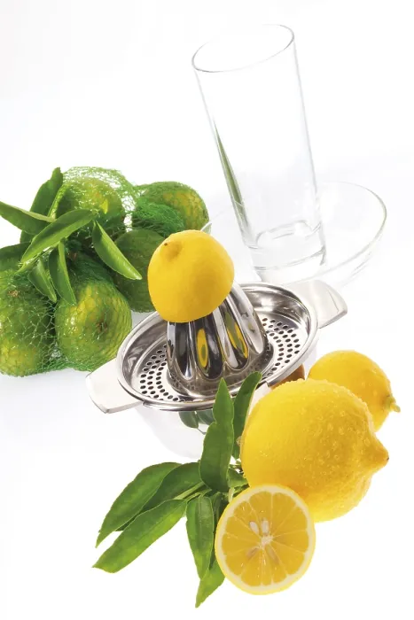 Framed Print : Lemons Print by ImageBROKER Framed Print : Lemons Print by ImageBROKER