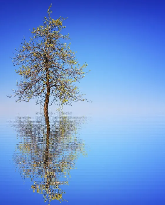Framed Print : Lifetime Print of a Lifetime from imageBROKER Framed Print : Lifetime Print of a Lifetime from imageBROKER