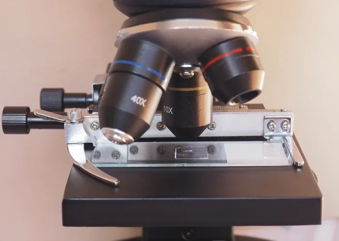 Framed Print : Light Microscope Print Detail Framed Print : Light Microscope Print Detail