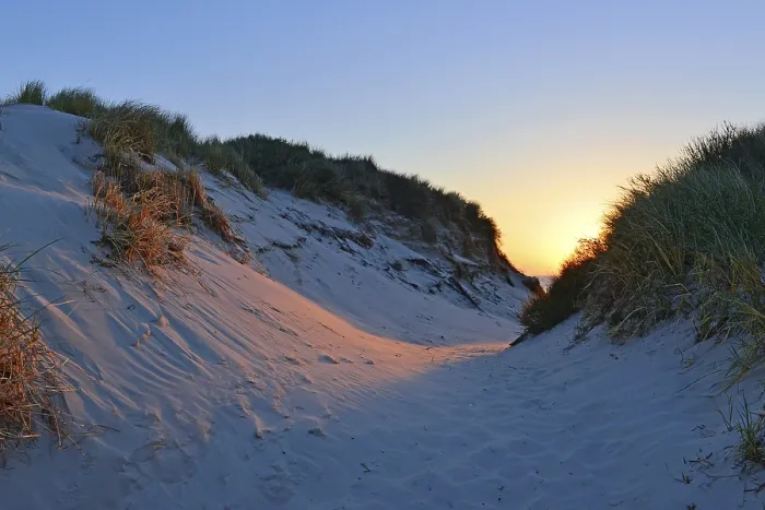 Framed Print : Amrum Dune Valley Print at Sunset Framed Print : Amrum Dune Valley Print at Sunset