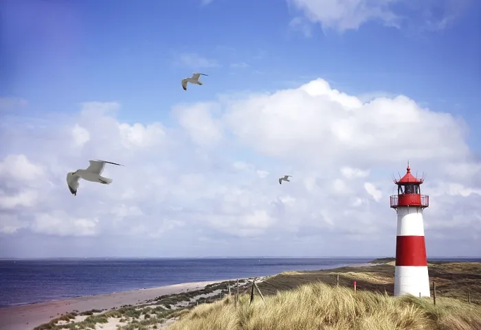 Framed Print : Lighthouse and dunes at the elbow, Sylt Print Framed Print : Lighthouse and dunes at the elbow, Sylt Print