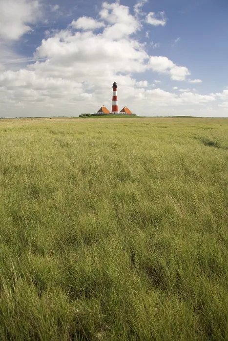 Framed Print : Lighthouse at Westerhever, Print of Eider Peninsula Germany Framed Print : Lighthouse at Westerhever, Print of Eider Peninsula Germany