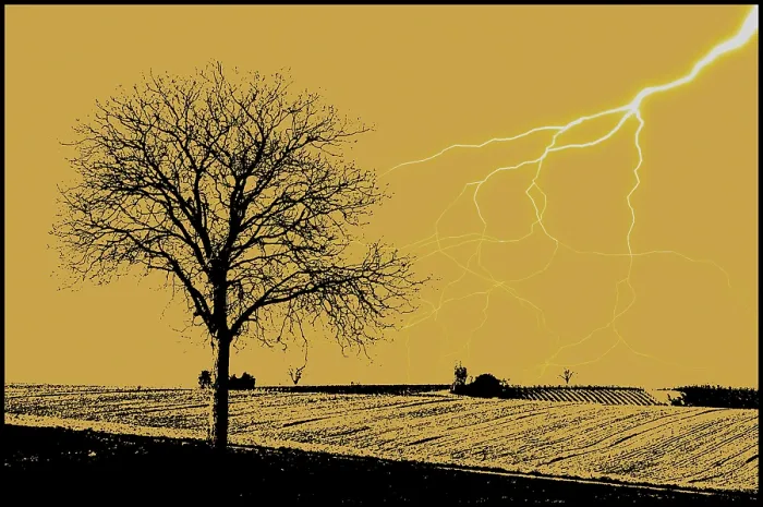 Framed Print : Lightning Strikes a Tree Print