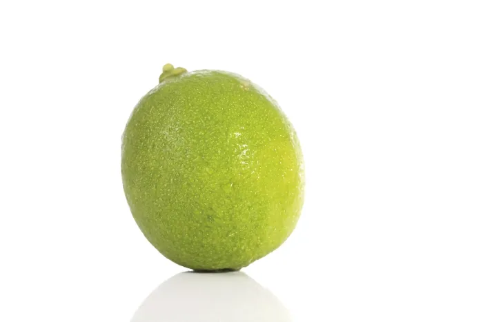 Framed Print : Lime Print by ImageBROKER Framed Print : Lime Print by ImageBROKER
