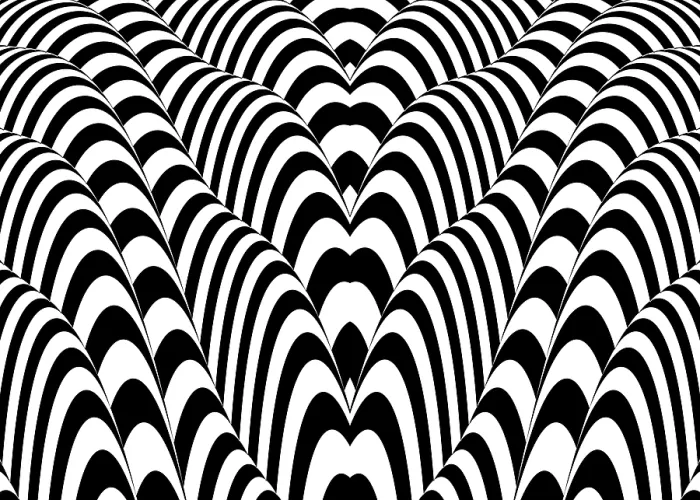 Framed Print : Lines Lines Print by imageBROKER Framed Print : Lines Lines Print by imageBROKER