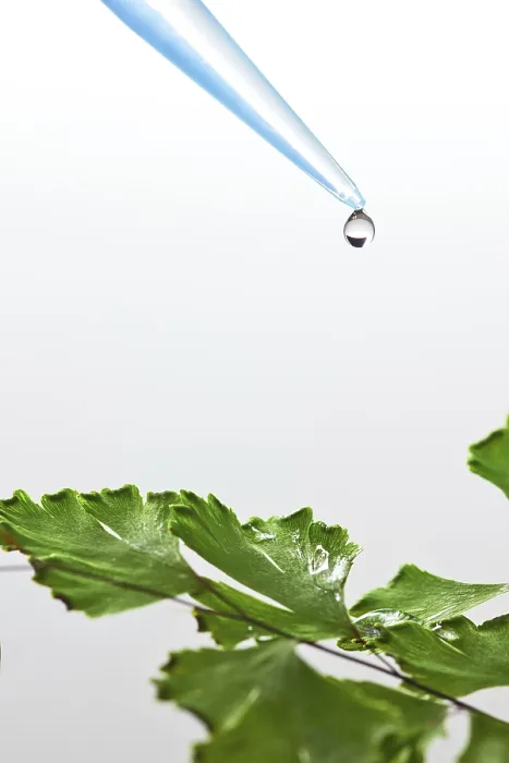 Framed Print : Liquid Drop on Green Leaf Print Framed Print : Liquid Drop on Green Leaf Print