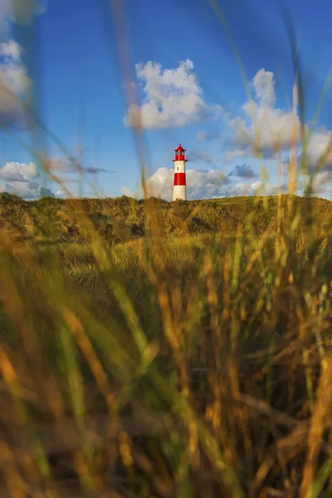 Framed Print : The Lister lighthouse at Ellenbogen, Sylt Island - Print Framed Print : The Lister lighthouse at Ellenbogen, Sylt Island - Print