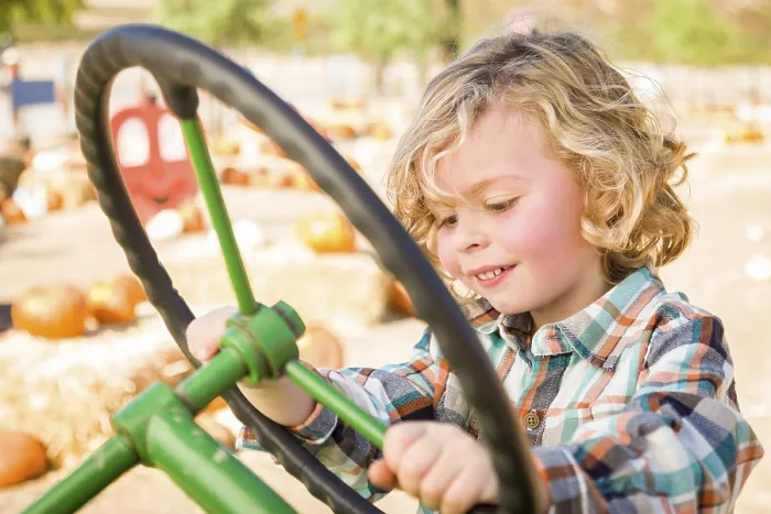 Framed Print : Little Boy in Tractor at Pumpkin Patch Print Framed Print : Little Boy in Tractor at Pumpkin Patch Print