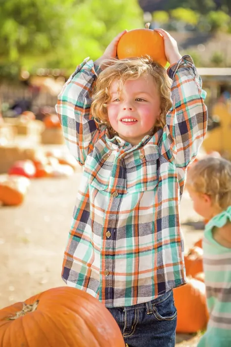 Framed Print : Little Boy Standing in a Rustic Ranch Setting at the Pumpkin Patch Print Framed Print : Little Boy Standing in a Rustic Ranch Setting at the Pumpkin Patch Print