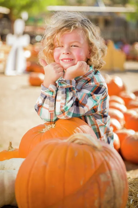 Framed Print : Little Boy at the Pumpkin Patch Print Framed Print : Little Boy at the Pumpkin Patch Print