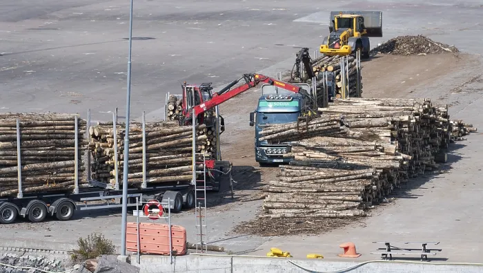 Framed Print : Logs Loaded onto Trailers Print, Timber Industry, Sweden Framed Print : Logs Loaded onto Trailers Print, Timber Industry, Sweden