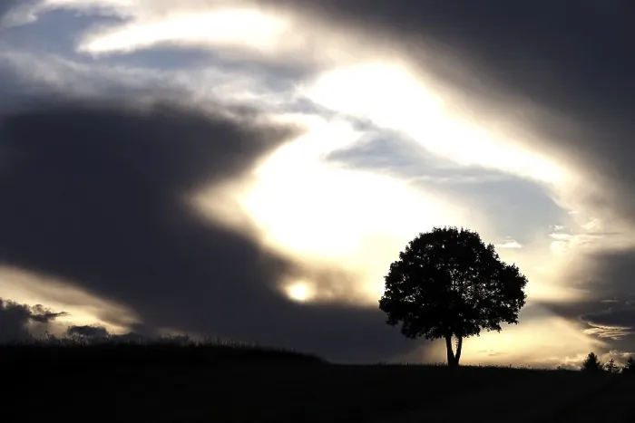Framed Print : Lonely Tree Print: Germany Summer Sky Framed Print : Lonely Tree Print: Germany Summer Sky